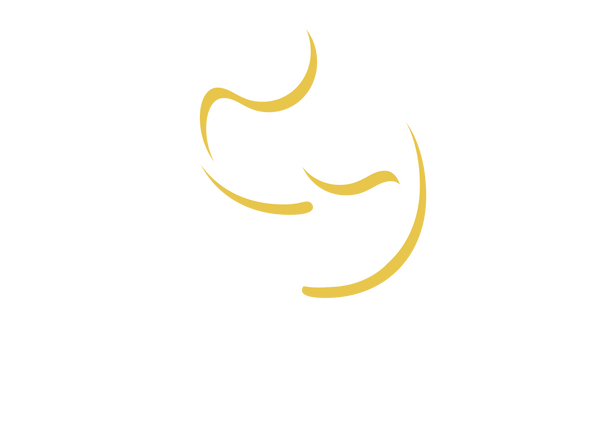 Erick Gerber Store